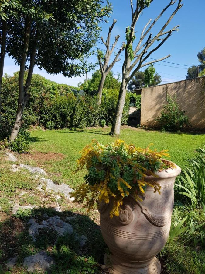 Cap Au Sud Sweet Home Ним Екстериор снимка