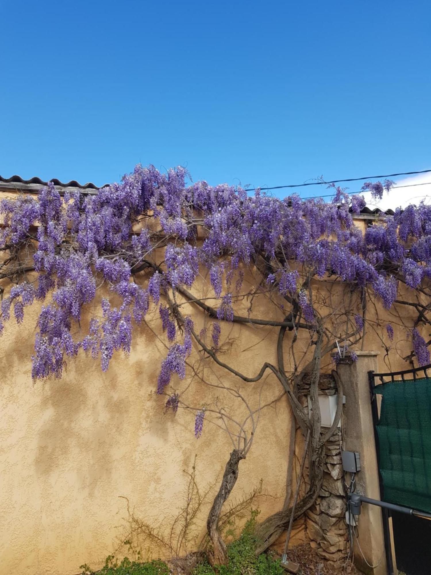 Cap Au Sud Sweet Home Ним Екстериор снимка